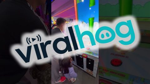 Dad's Arcade Oopsie || ViralHog