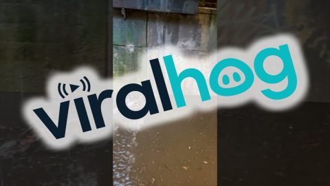 Subways Turned To Rivers || ViralHog