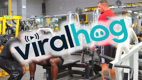 180KG Bench Press Accident || ViralHog