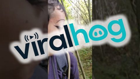 Taking The Cat For A Nature Walk || ViralHog