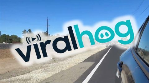 Locomotive Launches Loader || ViralHog