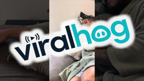 Watching TV With a Sloth || ViralHog