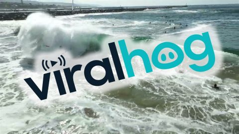 The Wedge Topples Boogie Boarders || ViralHog