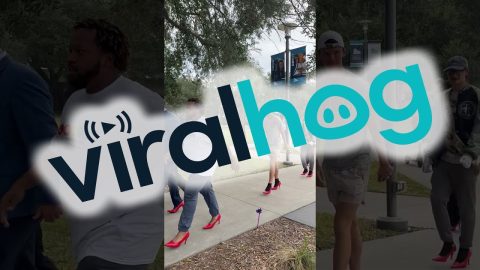 Walk A Mile In Her Shoes || ViralHog