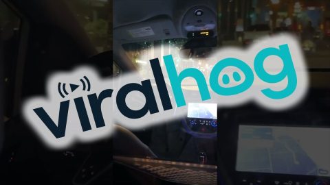 Self-Driving Car Makes For Unforgettable Ride || ViralHog