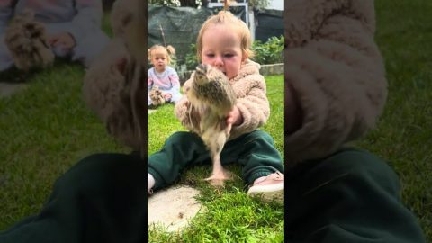 First Fluffy Friend || ViralHog