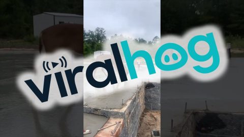 Deer Wants To Be A Construction Worker Too || ViralHog