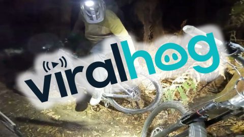 Steep Descent Creates Steamy Hot Brakes || ViralHog