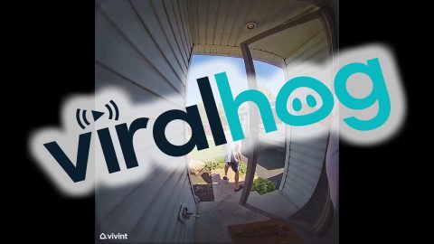 Mom Trips Following Son Out Door || ViralHog
