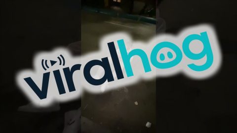 Pants Tear From Tree Climbing || ViralHog