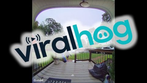 A Trip Down The Stairs || ViralHog