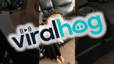 At-Home Spirit Halloween || ViralHog