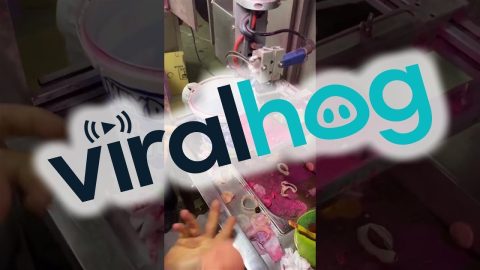 Manufacturer Paints Baby Dolls || ViralHog