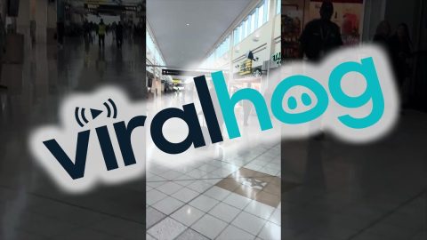 Suitcase Goes Vroom Vroom at the Airport || ViralHog