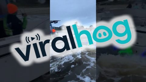 Boats Collide During US Open King Mackerel Tournament || ViralHog
