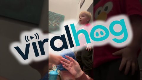 Dad Has a Copycat || ViralHog