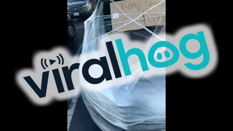 New Take On A Car Wrap || ViralHog