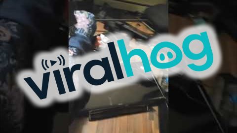Aftermath of Upset Gamer Ex-Boyfriend After Being Removed From Wi-Fi || ViralHog