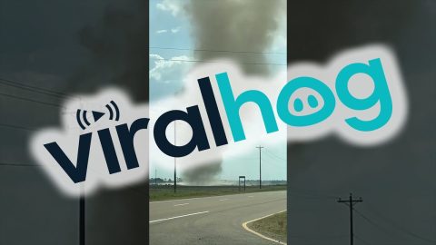 Dust Tornado In Mississippi Delta || ViralHog