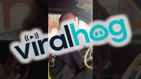 We Can Take My Hearse! || ViralHog