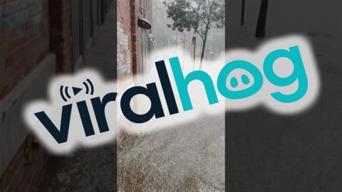 Flash Flooding In Brooklyn || ViralHog