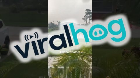 Rainy in the Front, Dry in the Back || ViralHog