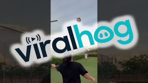 Soccer Ball Poorly Intercepted || ViralHog