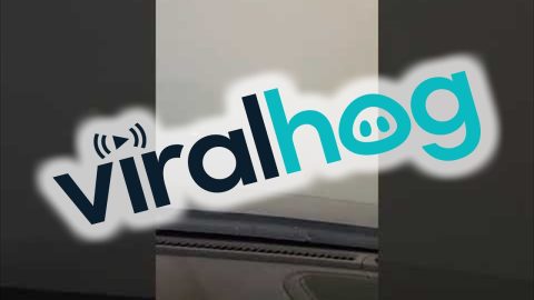 Wildfire Smoke Suddenly Lowers Visibility on Road || ViralHog
