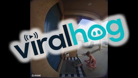 Neighborhood Boy Steals a Slice of Pizza || ViralHog