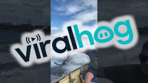 Water Skier Receives Mid-Training Protein Shake || ViralHog