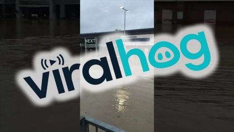 Cyclist Attempts to Ride Through Flooded Parking Lot || ViralHog
