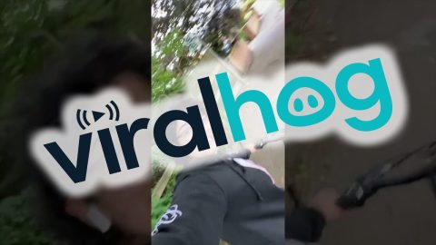 Pole Interrupts Bicycle Trick || ViralHog