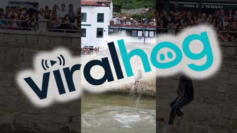 Local Festivities In Algorta || ViralHog