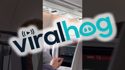 Displeased Passenger Leaves a Review for Airline || ViralHog