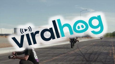 Harley Stunt Rider Helmet Drag || ViralHog