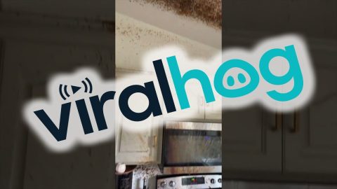Attempt to Make Caramel Ends in Kitchen Disaster || ViralHog