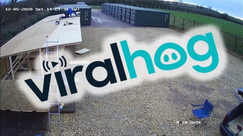 Wood Gives Way Under Weight || ViralHog
