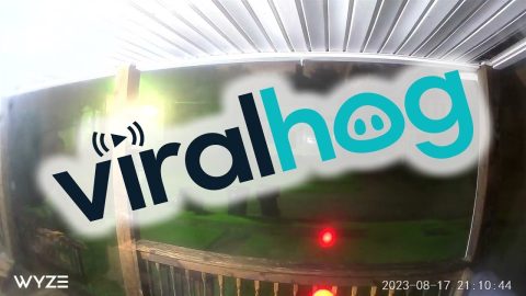 Doorbell Watches As Wind Blows Trampoline Away || ViralHog