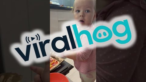 Making Dinner Together || ViralHog