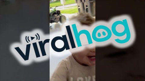 The Cutest Smile In The World || ViralHog