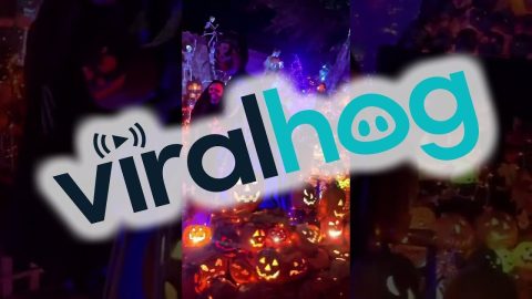 Homeowner's Stunning Halloween Display || ViralHog
