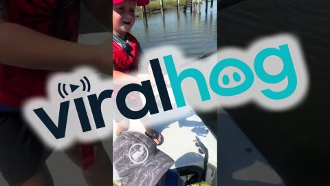 A Day On The Water With Mom || ViralHog