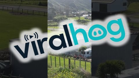 Time To Move House || ViralHog