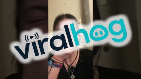 Dog Steals Mouthful Of Bread || ViralHog