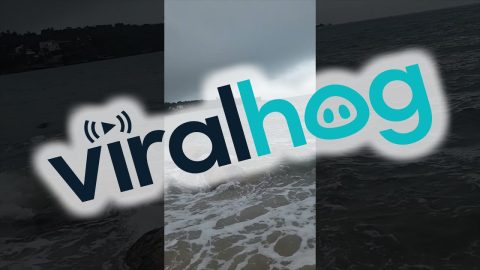 Beachgoer Slips and Falls on Rock || ViralHog