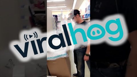 Husband Has a Unique Way of Testing Pillows || ViralHog