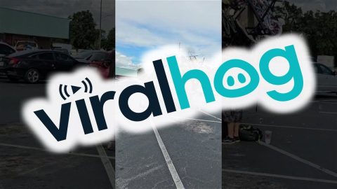 Driver Defies the Laws of Gravity || ViralHog