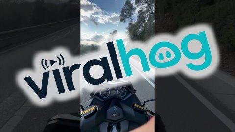 Motorcycle Follows Wheelchair Down Hill || ViralHog