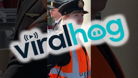 Pilots Hold the Most Professional Protest || ViralHog