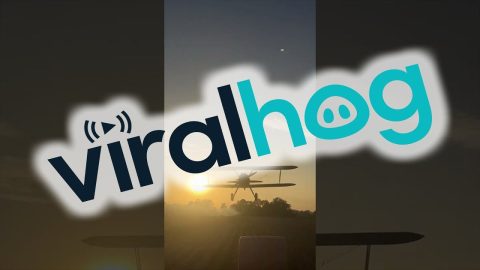 Low-Flying Plane Grazes Farming Machinery || ViralHog